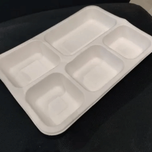 Bio Degradable Meal Trays